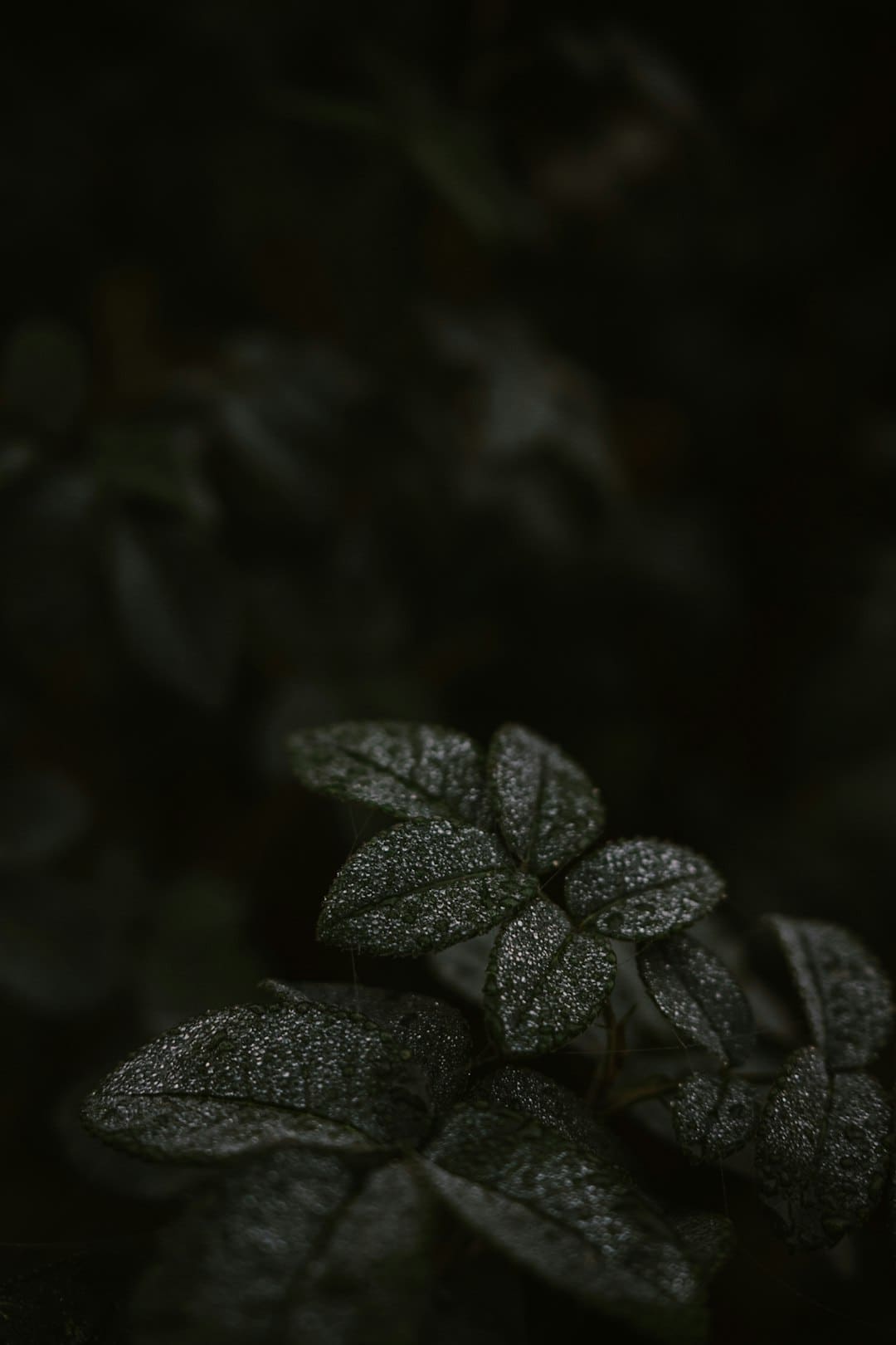 北汽集团上半年销量同比增长6%